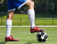 辽宁逆转上,洛夫顿失落,张镇麟艰难,网球即时比分,网球赛事平台,网球比赛实时数据,网球赛事信息,网球数据