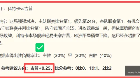 14场赛事中11场告捷，稳健表现令人期待